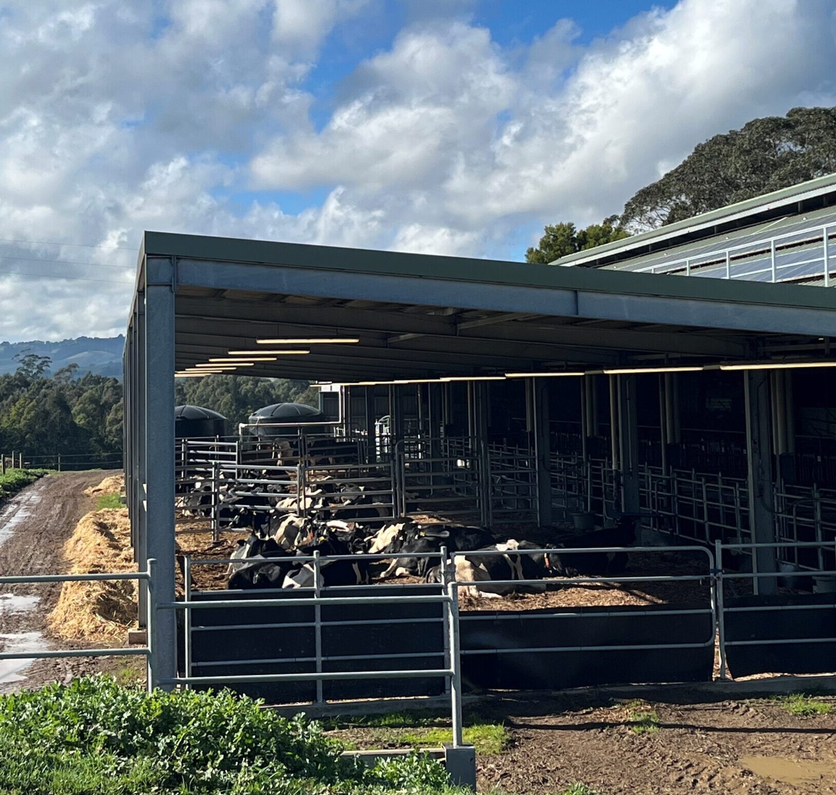 Virtual Fencing on Australian Farms: The Insurance Questions Every Farmer Should Be Asking